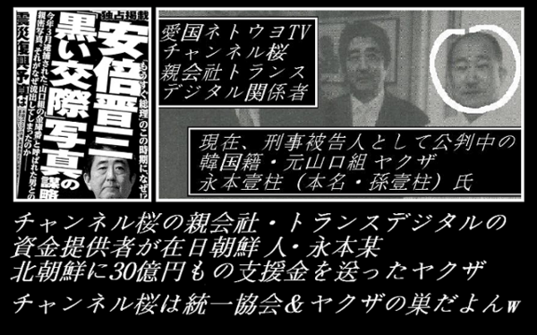 安倍晋三 ハッカビー 山口組の金庫番&チャンネル桜・親会社トランスデジタル出資者.png